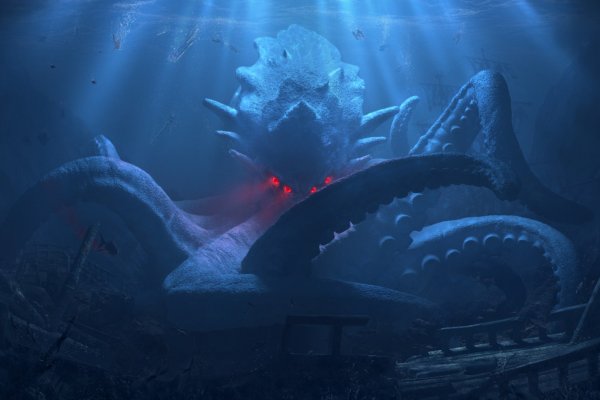Kraken 24 at